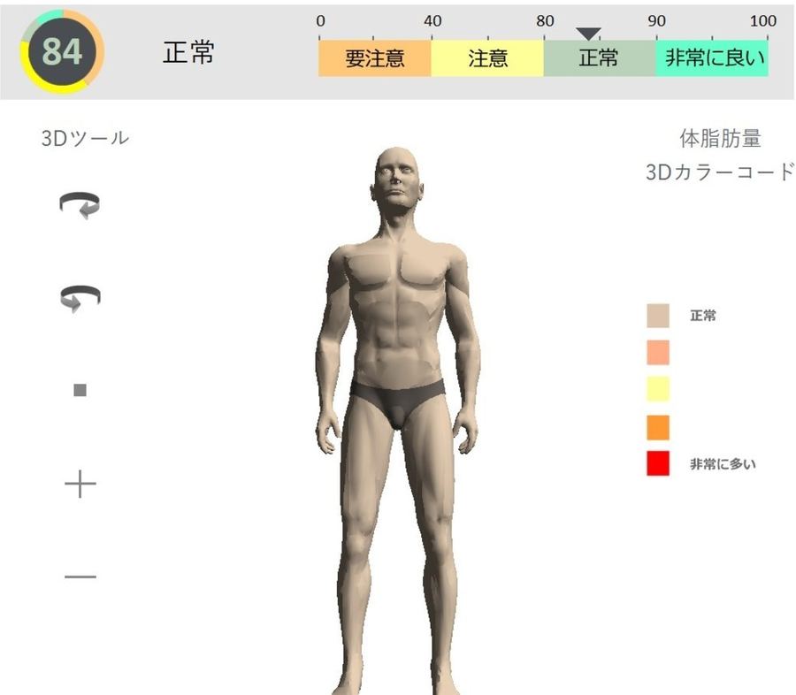 体組成の画面。3Dの人体モデルと判定の帯