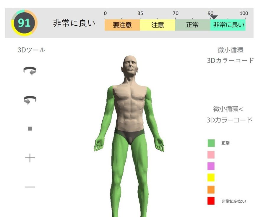 微小循環の3D人体モデル。手足の血流を色で表示