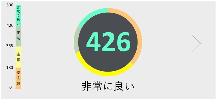 ウェルネススコアの画面。総合点と判定が大きく表示される